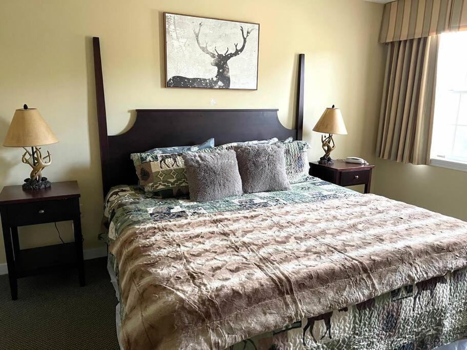 Ski On Off 1Br Suite 1St Flr Sleeps 4 Jiminy Peak هانكوك المظهر الخارجي الصورة